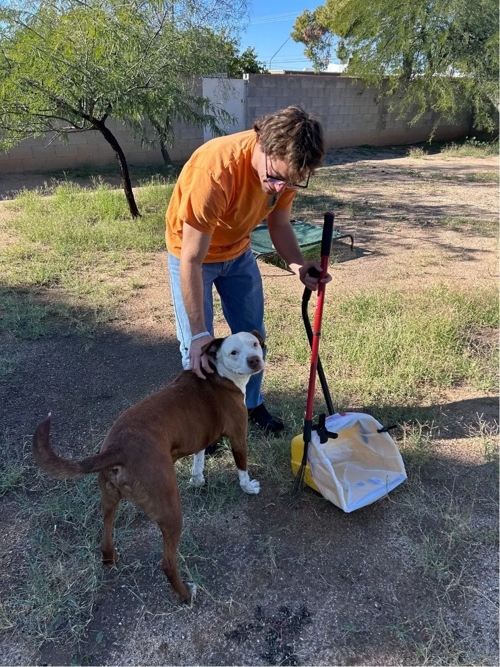 Scoop Doggy Logs team member with a dog in a Tucson backyard