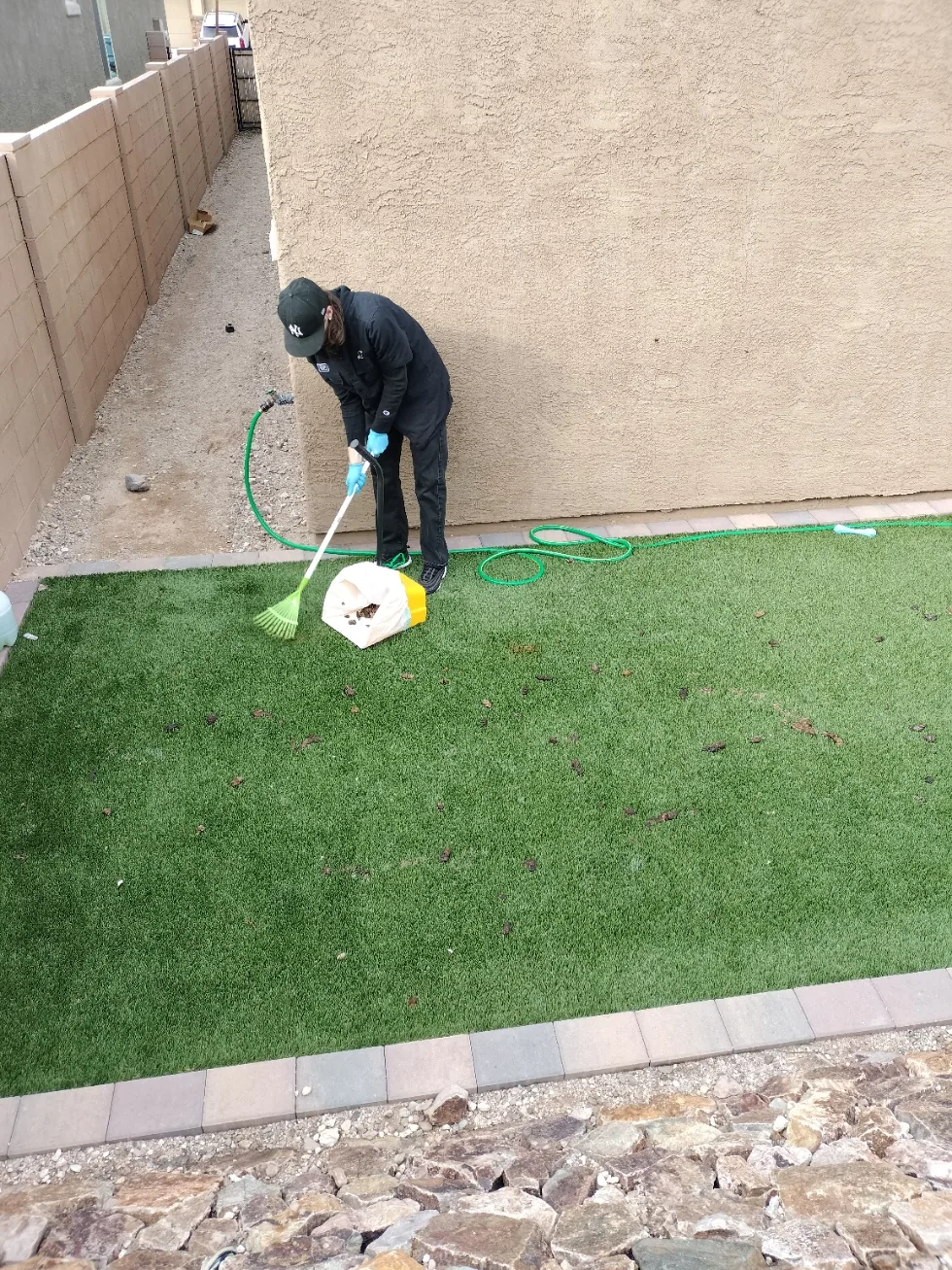 Scoop Doggy Logs one-time cleanup in a Tucson backyard
