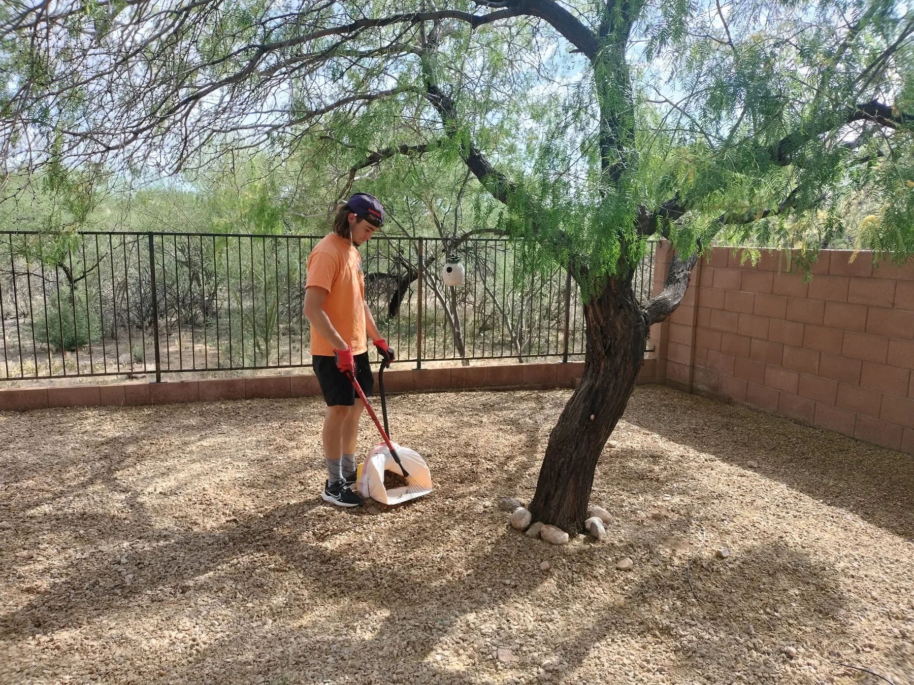 Scoop Doggy Logs crew member cleaning a Tucson gravel yard