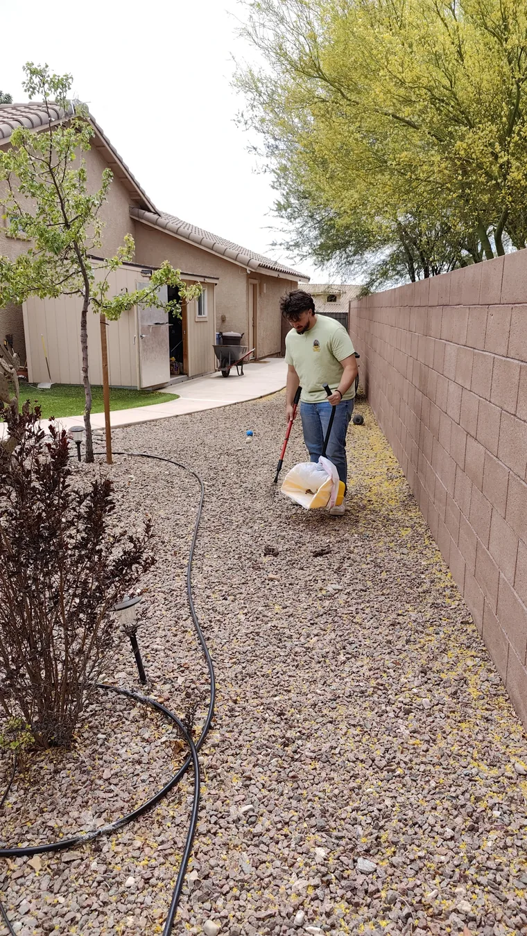 Team member scooping a Tucson side yard